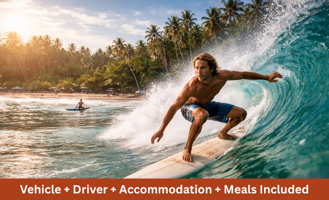 Surfer riding wave on tropical beach in Sri Lanka with palm trees