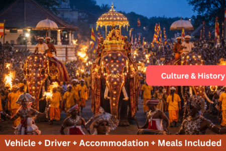 8D 7N Explore History + Religion + Culture of Sri Lanka
