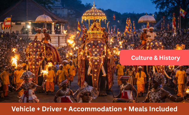 8D 7N Explore History + Religion + Culture of Sri Lanka