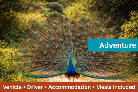 5D 4N Adrenaline Rush Sri Lanka Adventure Tour