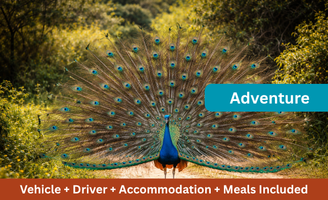 5D 4N Adrenaline Rush Sri Lanka Adventure Tour